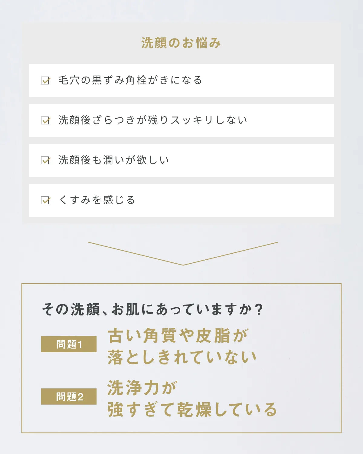 レカルカ イオンクリアウォッシングパウダー 通販 - X CLINIC online