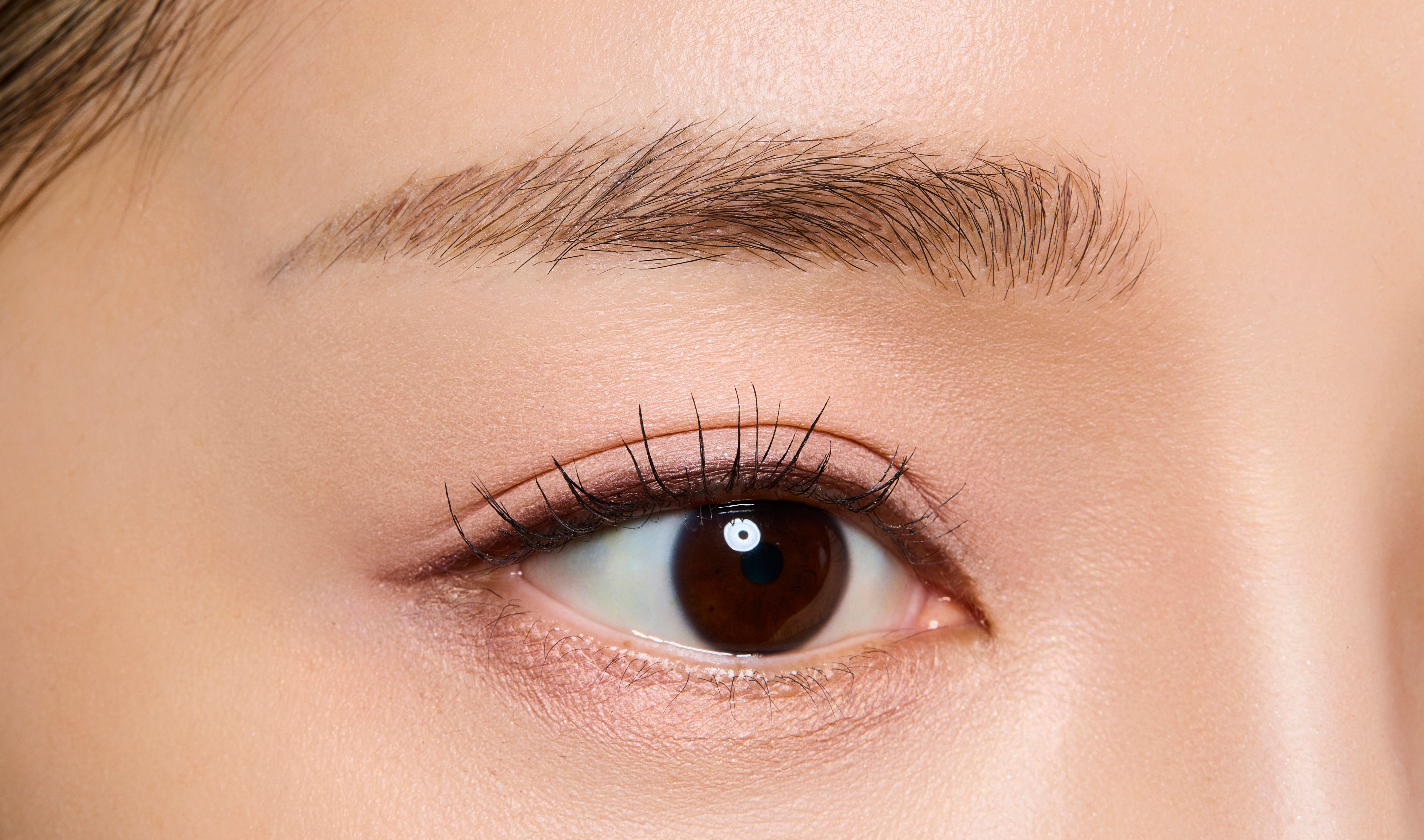 Xology M/M 003 エクソロジー アイブロウマスカラ モスグリーン 通販