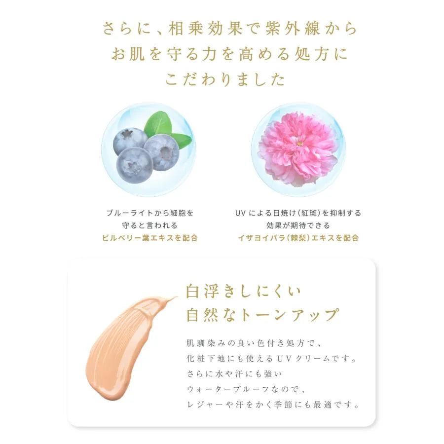 薬用美白UVベース特徴こだわり