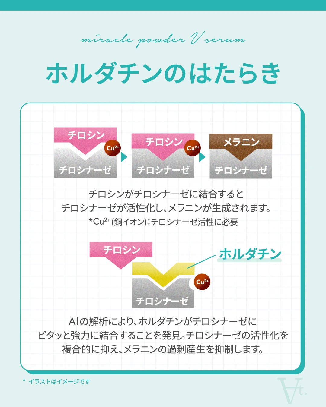 At. ミラクルパウダーVセラム 40g 通販 - X CLINIC online At. ミラクルパウダーVセラム 40g 通販 - X CLINIC online